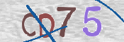 CAPTCHA изображение