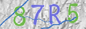 CAPTCHA изображение