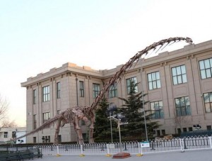 Скелет динозавра в Пекине