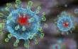 47 случаев заражения коронавирусом зафиксировано в КНР за последние сутки