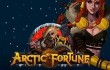 Arctic Fortune - игровой автомат на деньги в Казино Вулкан