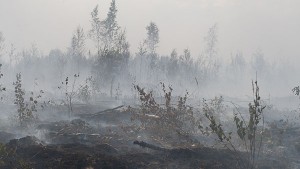 Благовещенск страдает от китайских лесных пожаров