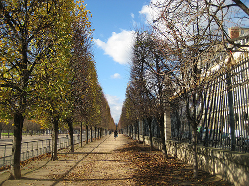 Фотопрогулка по Парижу в ноябре1