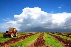 КНР планирует вложить в сельское хозяйство Татарии 400 миллионов долларов