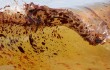 Как китайцы используют боновые заграждения2