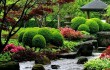 Как устроить сад в китайском стиле