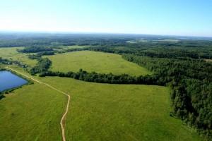 kak-vybirat-uchastok-po-fen-shuj