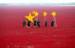 Soldiers turn red marshland into China's national flag, China - 26 Sep 2012...Mandatory Credit: Photo by Quirky China News / Rex Features (1886826a)
 Soldiers use stars to turn the marshland into the Chinese flag
 Soldiers turn red marshland into China's national flag, China - 26 Sep 2012
 To celebrate China