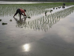 Китайцы не согласны с повышением пенсионного возраста