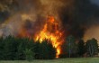 Лесные пожары в Китае тушат более тысячи пожарных и военных
