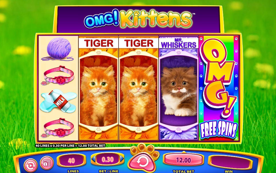 OMG Kittens от WMS Gaming