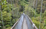 Обрыв веревочного моста в Китае и другие важные новости для туристов