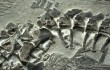 Палеонтологи Китая нашли древнейшую рептилию