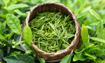 Польза китайского зеленого чая