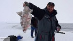 Россельхознадзор назвал опасными 24 тонны рыбы из Китая