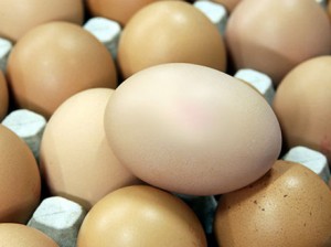 Скандал с отравленными яйцами в провинции Цзянси
