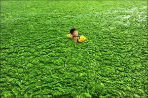 Циндао – зеленый город Китая