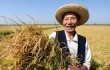 Условия хранения зерна в Китае будут в 2015 году улучшено