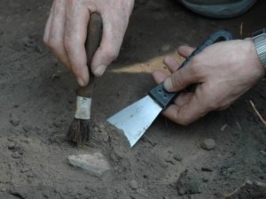 В Китае было обнаружено более 500 артефактов