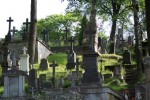 В Китае на кладбище проводят виртуальные экскурсии в загробный мир