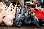 В Китае на рынках продавали 46-летней давности курицу