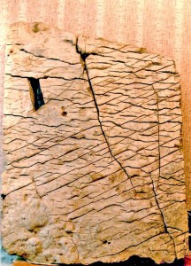 В Китае найдена каменная плита возрастом более тысячи лет, украшенная иероглифами