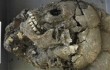 В Китае обнаружены 68 черепов с «третьим глазом»