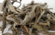 В Китае обнаружили древнейший в мире чай