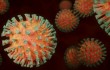 В Китае обнаружили коронавирус на российских продуктах