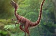 В Китае открыли новый вид динозавров