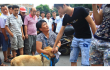 В Китае протестуют против любителей мяса собак