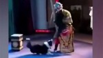 В Китае собака почти сорвала оперный спектакль