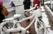 В Китае выпал снег