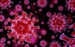 В Китае занижали количество инфицированных коронавирусом в начале пандемии