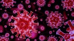 В Китае занижали количество инфицированных коронавирусом в начале пандемии