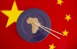 В Ухане открыли центр инновационного сотрудничества между Китаем и Африкой