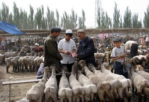 В провинции Кашгар меняют современную электронику на овец