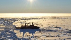Китай заинтересован в совместном освоение Арктики с Россией