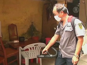 Китайские власти надеются в скором времени взять под контроль эпидемию лихорадки денге