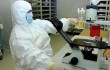 Китайские ученые разработал тест для выявления вируса Эболы
