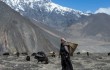 Землетрясение в Тибете