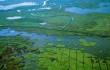 Самое крупное озеро Китая быстро мелеет