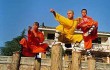 Монахи Шаолиня собираются отсудить 10 млн долларов у туристического комитета Хэнаня