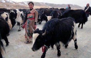 Туризм на Тибете приносит 2,5 миллиарда долларов 
