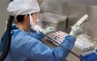 вакцина от штамма птичьего гриппа H7N9 разработана