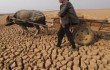Продолжается засуха в автономном районе Внутренняя Монголия
