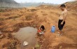 329 тысяч жителей провинции Ляонин на северо-востоке Китая страдают от засухи