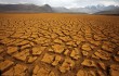 Китай засухой уничтожено 1,33 млн гектаров сельскохозяйственных культур
