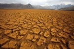 В Китае засухой уничтожено 1,33 млн гектаров сельскохозяйственных культур