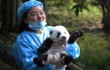 Лучшие зоопарки и заповедники Китая